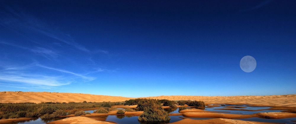 Our memory like dust — desert panarama